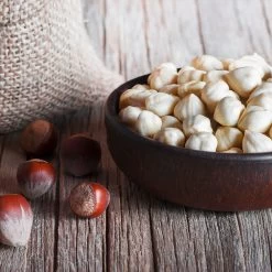 York Filbert Hazelnut -Garden Plant Store York Hazelnut 5